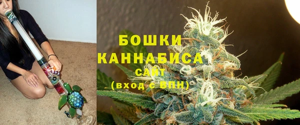 PSILOCYBIN Заволжск