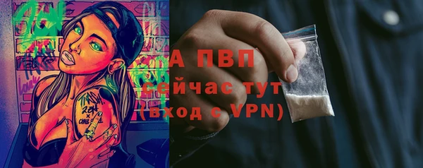 ECSTASY Заводоуковск